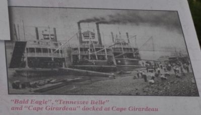 "Bald Eagle", "Tennessee Belle" and "Cape Girardeau" docked at Cape Girardeau image. Click for full size.