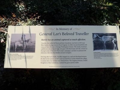 General Lee’s Beloved Traveller Marker image. Click for full size.