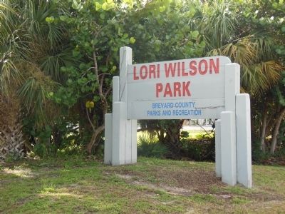 Lori Wilson Park image. Click for full size.