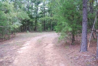 Dirt Road Leading to Bartlett Tucker Family Cemetery image. Click for full size.