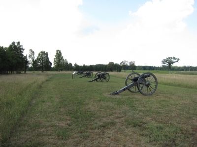 Marker and Five Confederate Guns image. Click for full size.