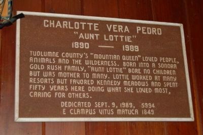 Lotty Pedro Plaque Mounted on the Wall Inside the Saloon image. Click for full size.