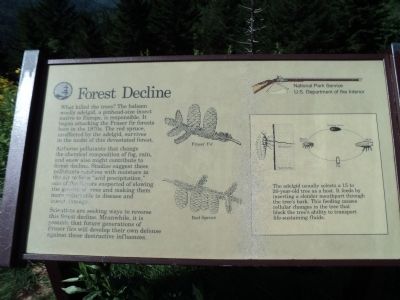 Forest Decline Marker image. Click for full size.