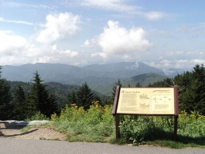 Marker on the Blue Ridge Parkway image. Click for full size.
