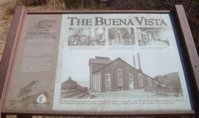 The Buena Vista Marker image. Click for full size.