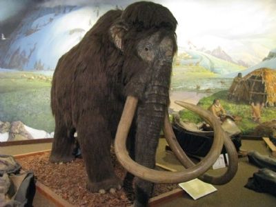 Woolly Mammoth image. Click for full size.