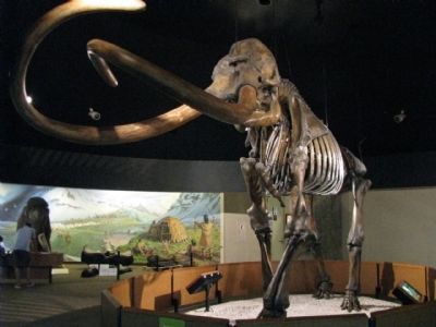 Columbian Mammoth image. Click for full size.