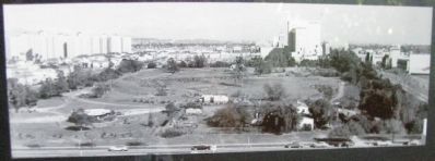 Hancock Park 1953 image. Click for full size.