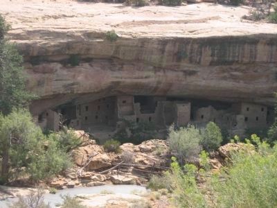 Spruce Tree House Cliff Dwellings. Click for full size. Spruce Tree House Cliff Dwellings image. Click for full size.