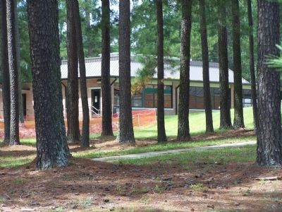a School ( perhaps a Day Care) as seen amid the trees today image. Click for full size.