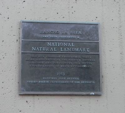 National Natural Landmark image. Click for full size.