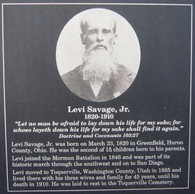 Levi Savage, Jr. image. Click for full size.