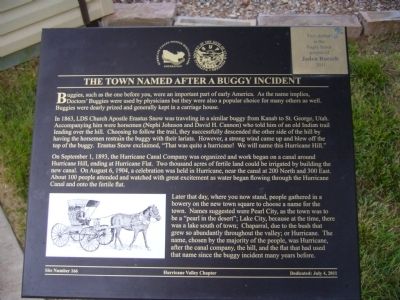 The Town Named After a Buggy Incident Marker image. Click for full size.