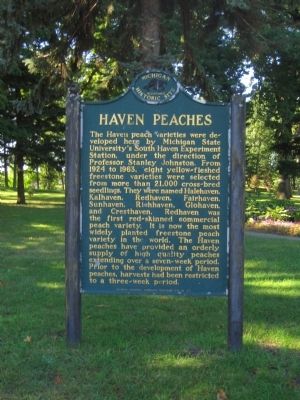 Haven Peaches Marker image. Click for full size.