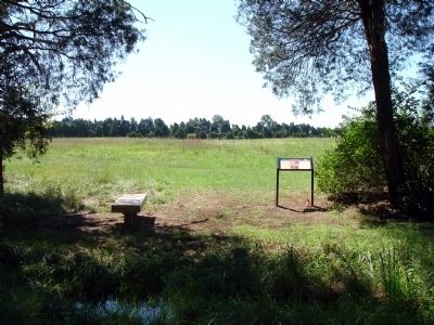 The “Tigers” of Louisiana Marker. Click for full size. The “Tigers” of Louisiana Marker image. Click for full size.
