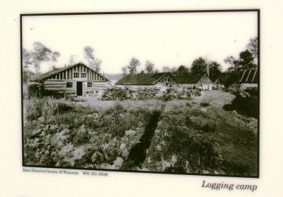 Lower Left Photo: Logging Camp image. Click for full size.