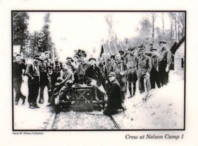 Top photo: Crew at Nelson Camp 1 image. Click for full size.