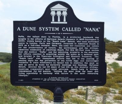 A Dune System Called "NaNa" Marker image. Click for full size.