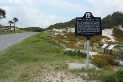A Dune System Called "NaNa" Marker seen along Ocean Boulevard, looking south image. Click for full size.