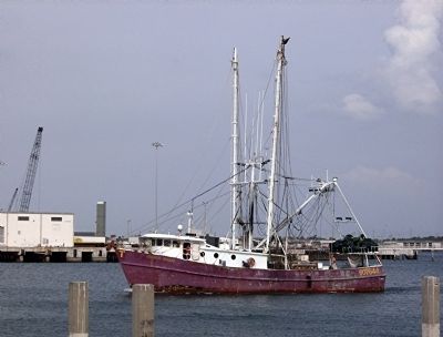 Commercial Shrimp Boat Returning to Port Canaveral image. Click for full size.