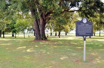Old Shiloh Cemetery and Marker image. Click for full size.