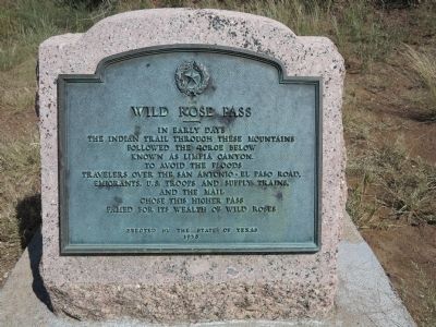 Wild Rose Pass Marker image. Click for full size.
