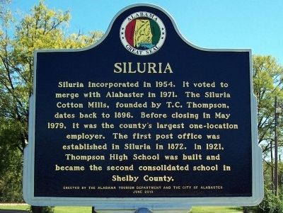 Siluria side of the marker image. Click for full size.