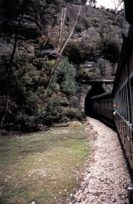 Train entering the short tunnel on a tight curve image. Click for full size.