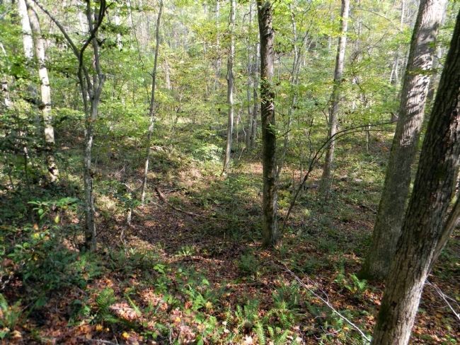 Modern day view of the Site of Spotswood’s Furnace. Click for full size. Modern day view of the Site of Spotswood’s Furnace image. Click for full size.