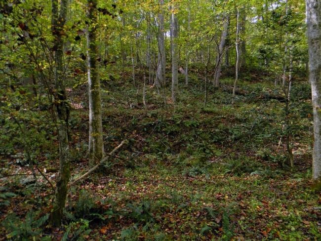 Modern day view of the Site of Spotswood’s Furnace. Click for full size. Modern day view of the Site of Spotswood’s Furnace image. Click for full size.