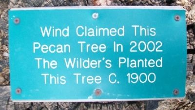 Wilder's Pecan Tree Marker. Click for full size. Wilder's Pecan Tree Marker image. Click for full size.