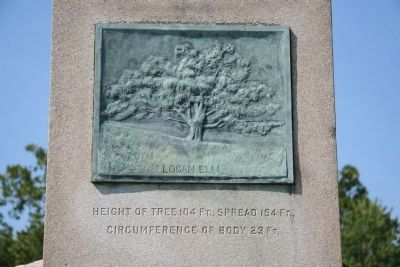 Logan's Elm image. Click for full size.