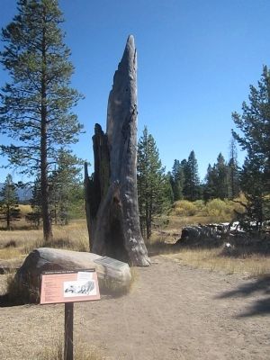 The Donner Campsite image. Click for full size.