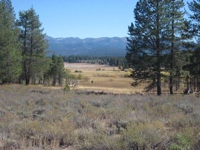Alder Creek Valley Meadow image. Click for full size.