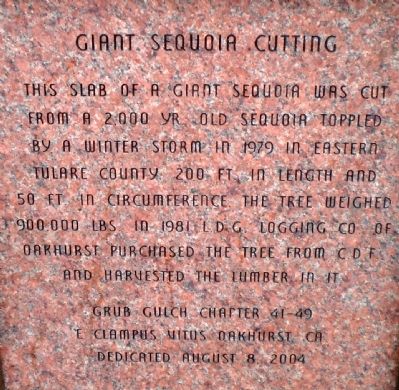 Giant Sequoia Cutting Marker image. Click for full size.