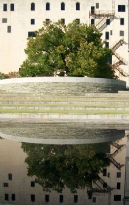 Survivor Tree From Reflecting Pool image. Click for full size.