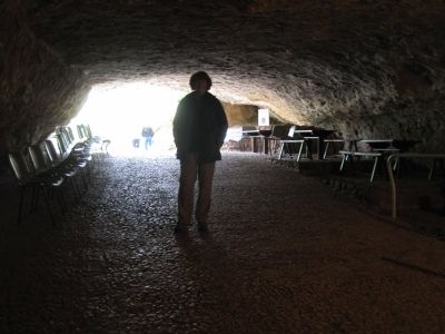 Grotto de Rouffignac image. Click for full size.