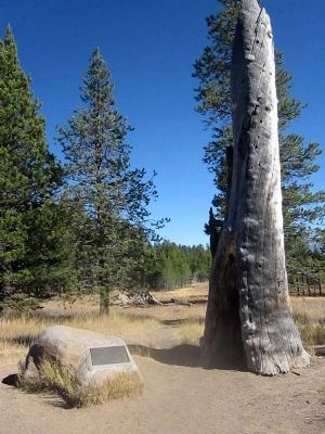 Donner Camp Site and Marker image. Click for full size.