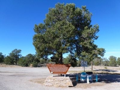Magdalena Livestock Driveway Marker and Vicinity. Click for full size. Magdalena Livestock Driveway Marker and Vicinity image. Click for full size.