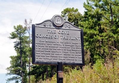 The Cove Gorges of the Flint Marker image. Click for full size.