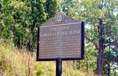 The Cove Gorges of the Flint Marker image. Click for full size.