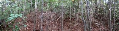 Nearby Civil War breastworks image. Click for full size.