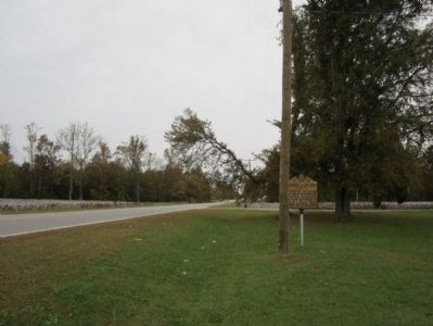 US 258 (facing west) image. Click for full size.