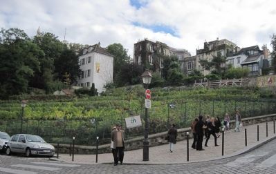 The last, and only, vineyard in Montmartre image. Click for full size.