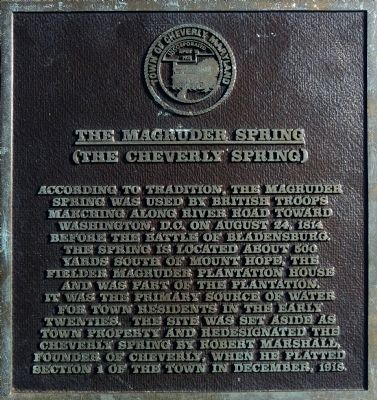 The Magruder Spring Marker image. Click for full size.