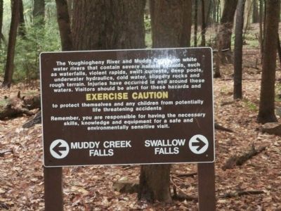 Youghiogheny Grove image. Click for full size.