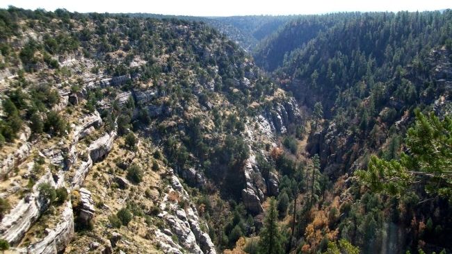 Walnut Canyon National Monument image. Click for full size.