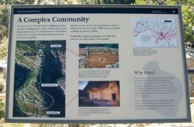 A Complex Community Marker image. Click for full size.