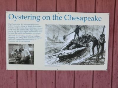 Oystering on the Chesapeake Marker image. Click for full size.