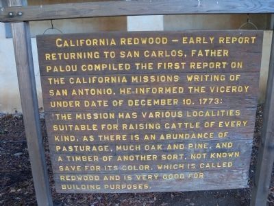 California Redwood - Early Report image. Click for full size.